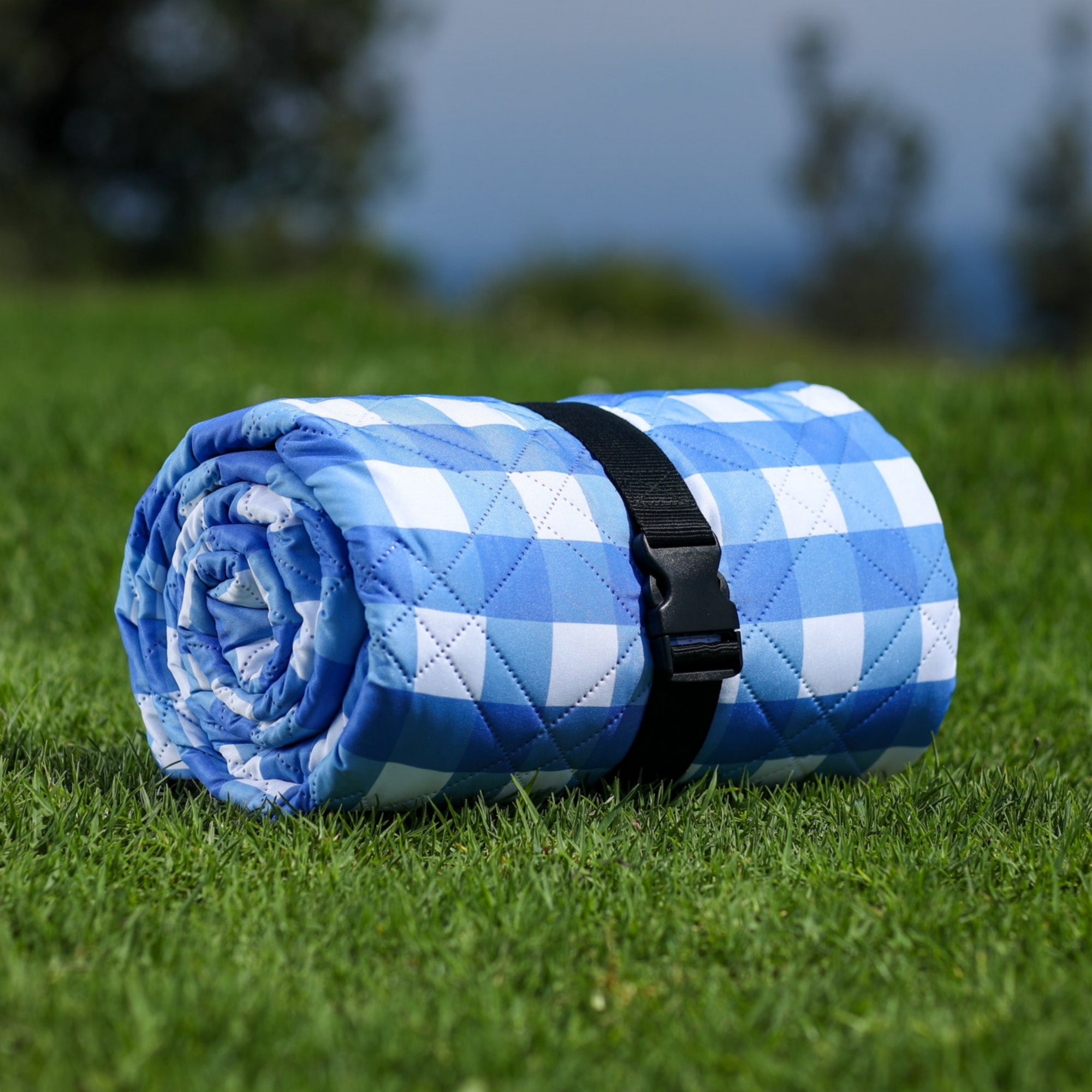 True Gingham Picnic Rug