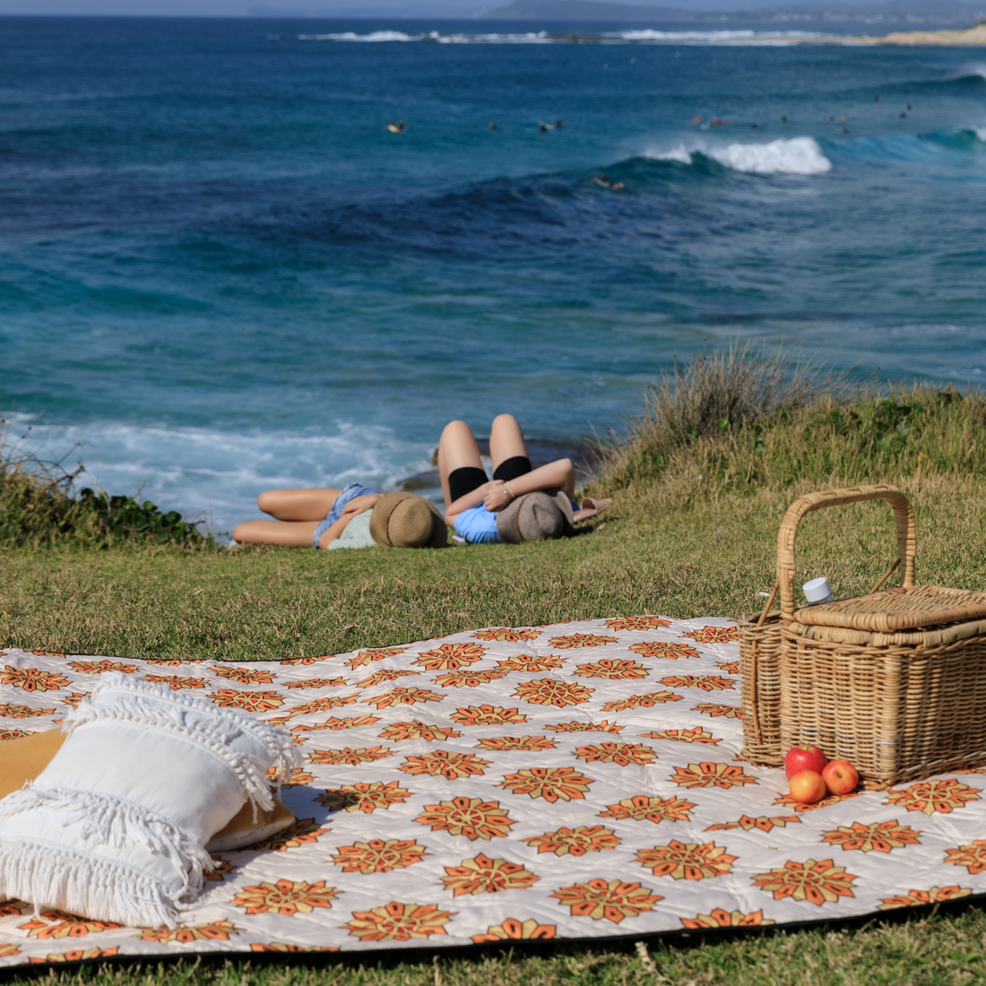Big discount picnic rug